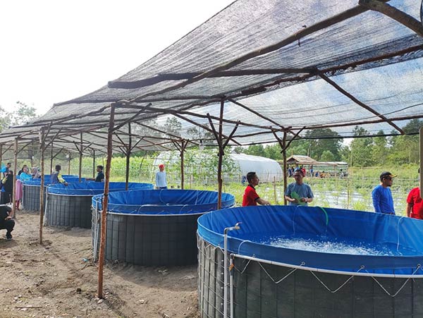 DEMPLOT PERIKANAN: Budidaya ikan dengan kolam terpal menjadi salah satu demplot di lokasi Peda KTNA di Sukamara. (Fauzi/Radar Sampit)