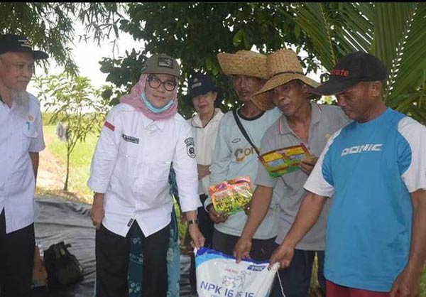 SUBUR: Sekda Kota Palangka Raya, Hera Nugrahayu meninjau lokasi Perkebunan sekaligus memanen semangka di agrowisata, Jalan Bengaris XI, Kelurahan Tanjung Pinang, Kecamatan Pahandut Kota Palangka Raya. (ISTIMEWA/HUMAS PROTOKOL)