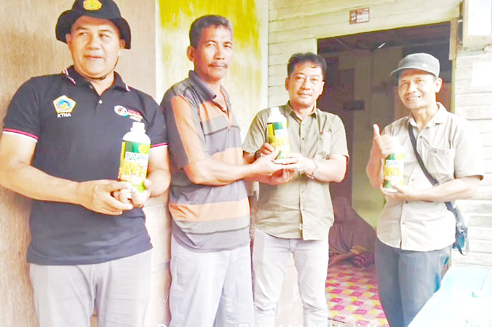 BANTUAN PUPUK: Salah satu komoditas pangan yang mendapat bantuan pupuk hayati dari DTPHP Berau.