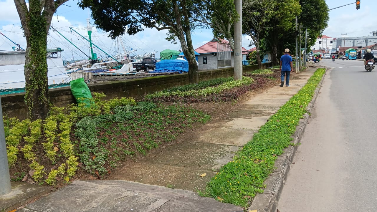TANAMAN DI MEDIAN JALAN: Taman di median jalan di sejumlah ruas di wilayah Tanjung Redeb perlu perawatan rutin sehingga harus diimbangi jumlah personel kebersihan taman.