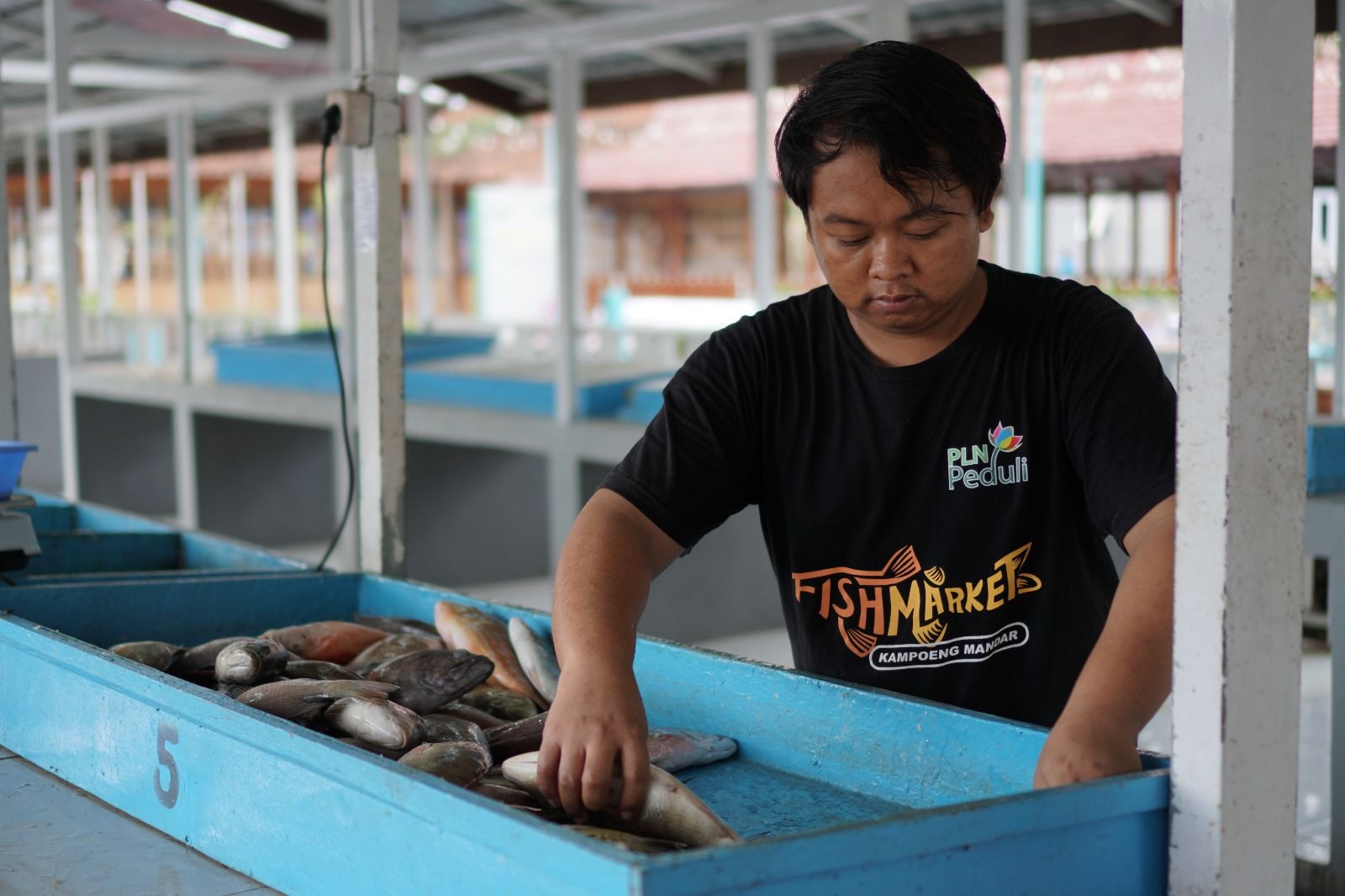 Program pembinaan UKM oleh PLN di Kampung Mandar Fish Market Banyuwangi, Jawa Timur mendapatkan penghargaan di ajang CSR dan PDB Awards tahun 2024.