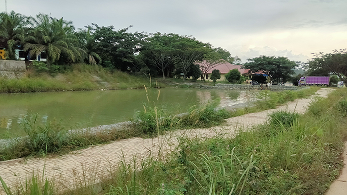 DINILAI MANDEK: Penataan ruang terbuka hijau di depan Kantor Kecamatan Teluk Bayur masih menunggu usulan lanjutan hingga tahun ini.