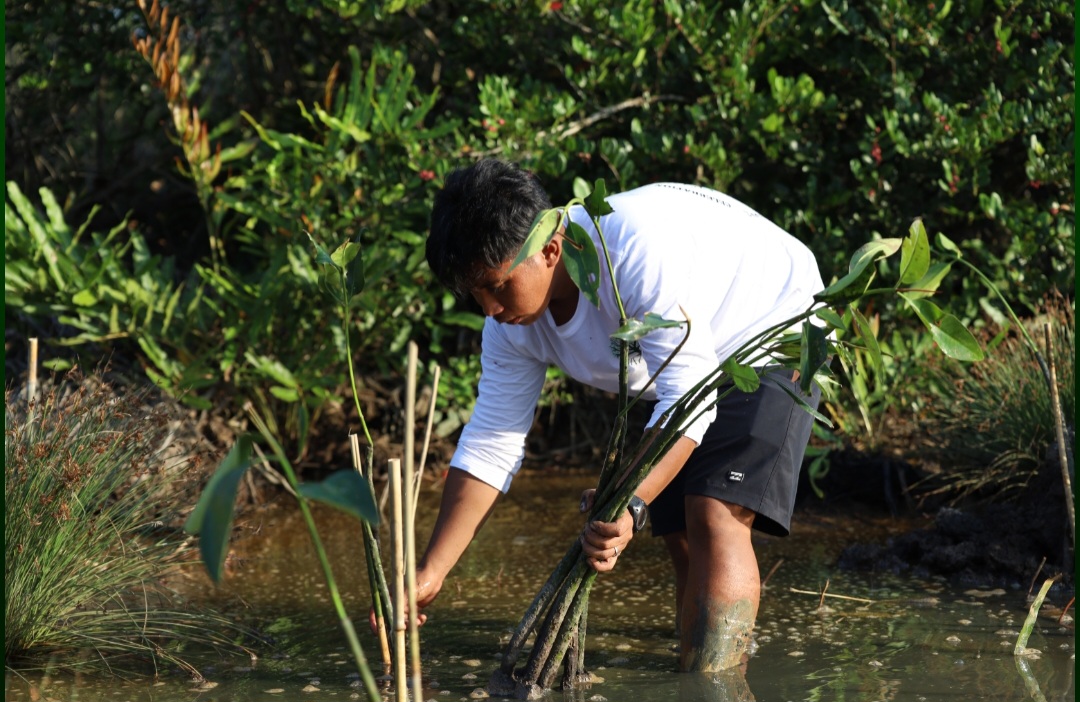 LESTARIKAN HUTAN: Tim Pengelola Mangrove Kampung Teluk Semanting saat menanam bibit mangrove untuk menambah kerapatan di kawasan Ekowisata Mangrove Teluk Semanting.
