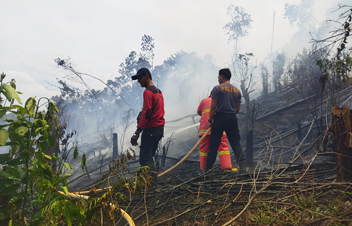 ANCAMAN TERBESAR: BPBD tengah berupaya memadamkan karhutla yang terjadi di Kecamatan Sambaliung, kemarin (17/9).