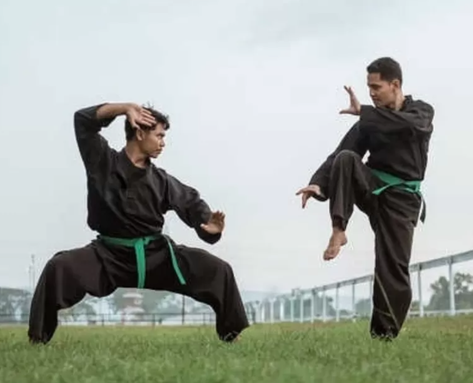 Seni bela diri pencak silat. (via sehataqua.co.id)