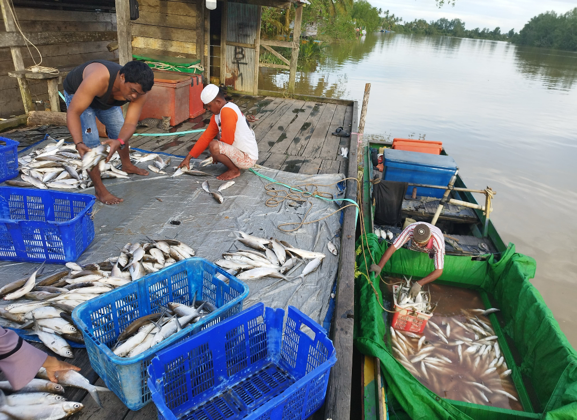 MAKSIMALKAN POTENSI KAMPUNG: Program Desa Tematik akan memaksimalkan potensi kampung, untuk mendukung penyediaan bahan baku program MBG. (SNEO/BP)