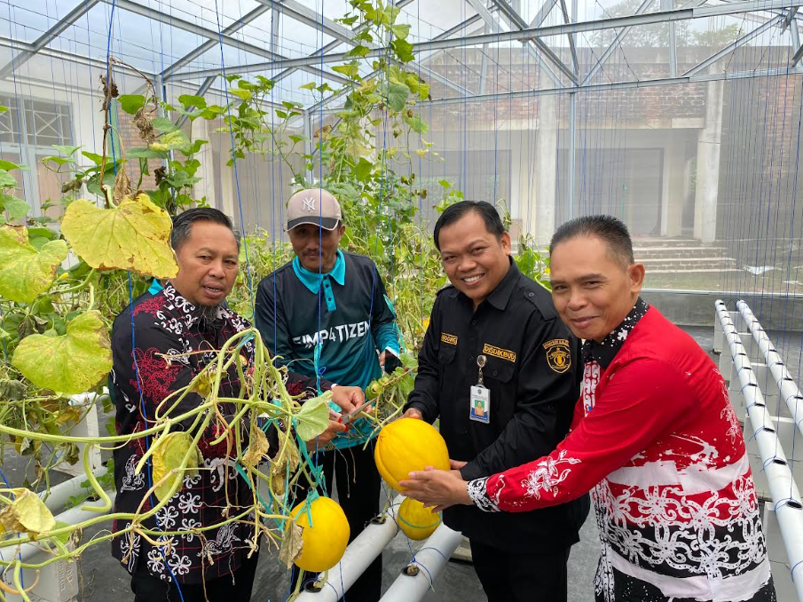 PANEN PERDANA: SMA N 4 Berau melaksanakan panen perdana melon dari program green house yang didapat dari Disdikbud Kaltim. (SMAN 4 BERAU UNTUK BP)