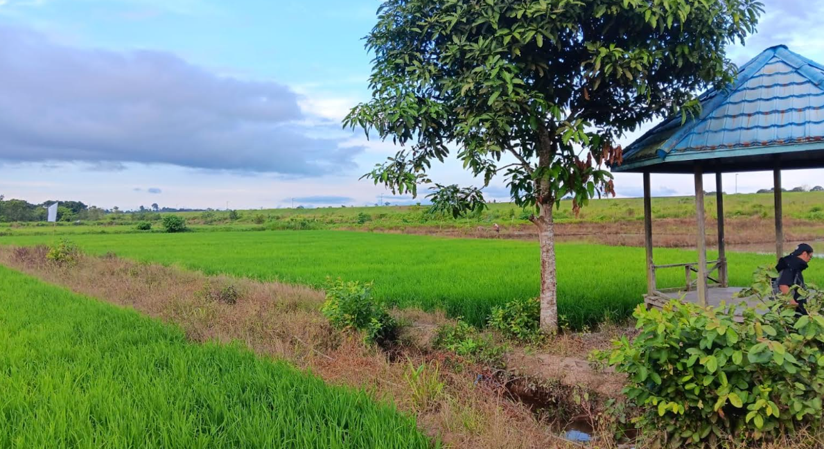 GANDENG MILENIAL: Kampung Talisayan terus menggalakkan ketahanan pangan melalui pembentukan brigade pangan bersama para generasi milenial. (ARTA KUSUMA YUNANDA/BP)