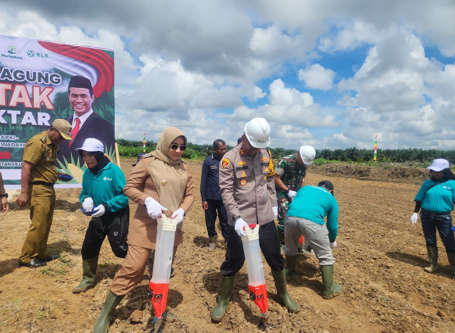 PENANAMAN: Penanaman jagung serentak di lahan eks perusahaan sawit di Kampung Tasuk, beberapa waktu lalu. (MARNI/BP)
