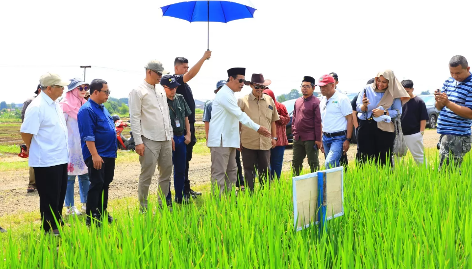 Menteri Pertanian Andi Amran Sulaiman meninjau inovasi tanam padi Jajar Legowo di Bogor (23/3). (HUMAS KEMENTAN)