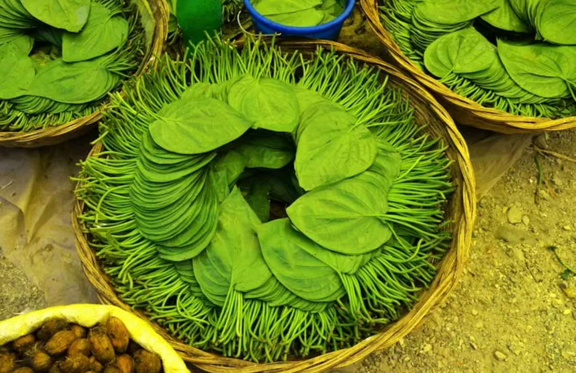 Ilustrasi daun sirih. (Pexels)