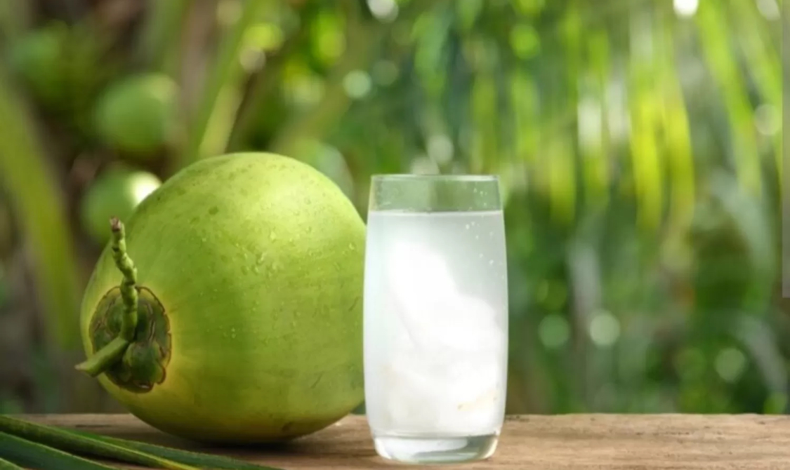 Ilustrasi air kelapa. (Freepik)