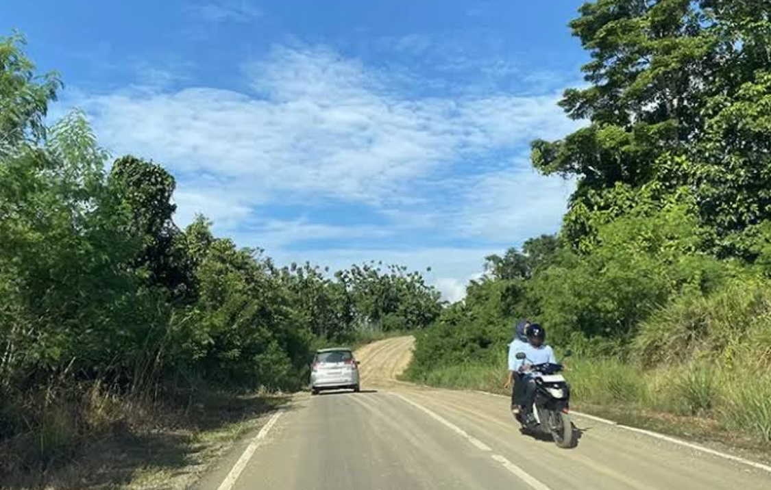 ALTERNATIF JALUR: Pembangunan Jalan Lingkar Dalam Kelay diproyeksikan pangkas jarak tempuh Berau-Wahau dari 6 jam jadi 2,5 jam. (SENO/BP)