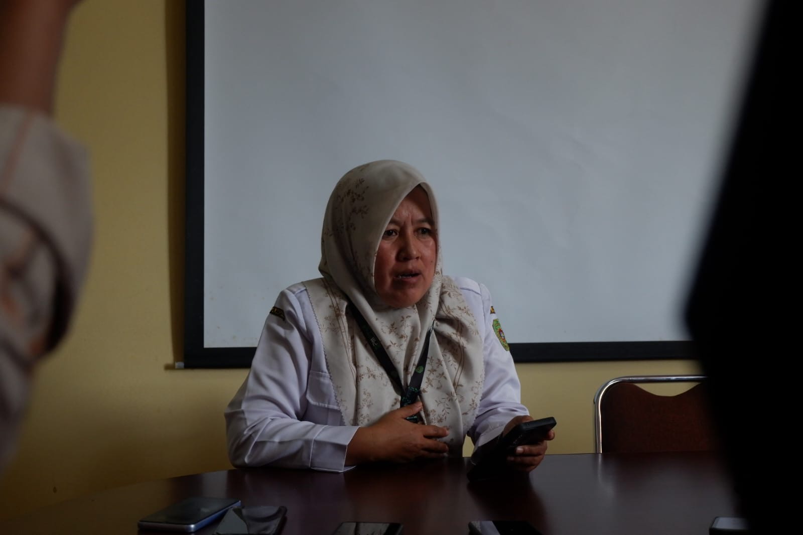 Kepala DPMPTSP PPU, Nurlaila. (DISKOMINFO PPU UNTUK BERAU POST)