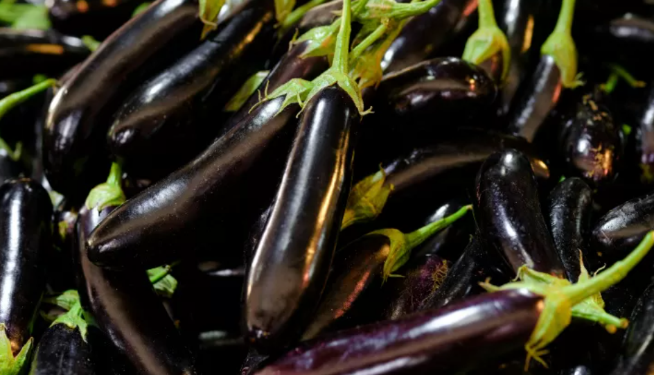 Ilustrasi: Terong. (Pexels)