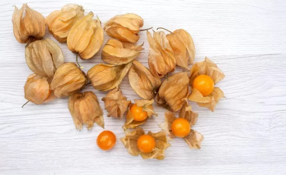 ilustrasi Tersembunyi dalam Cangkup Daun, Ini 9 Manfaat Ajaib Buah Ciplukan untuk Kesehatan Tubuh. (freepik)