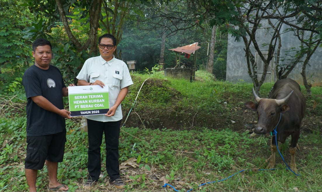 DISERAHKAN: Perwakilan Berau Coal saat menyerahkan hewan kurban di salah satu kampung. (SENO/BP)