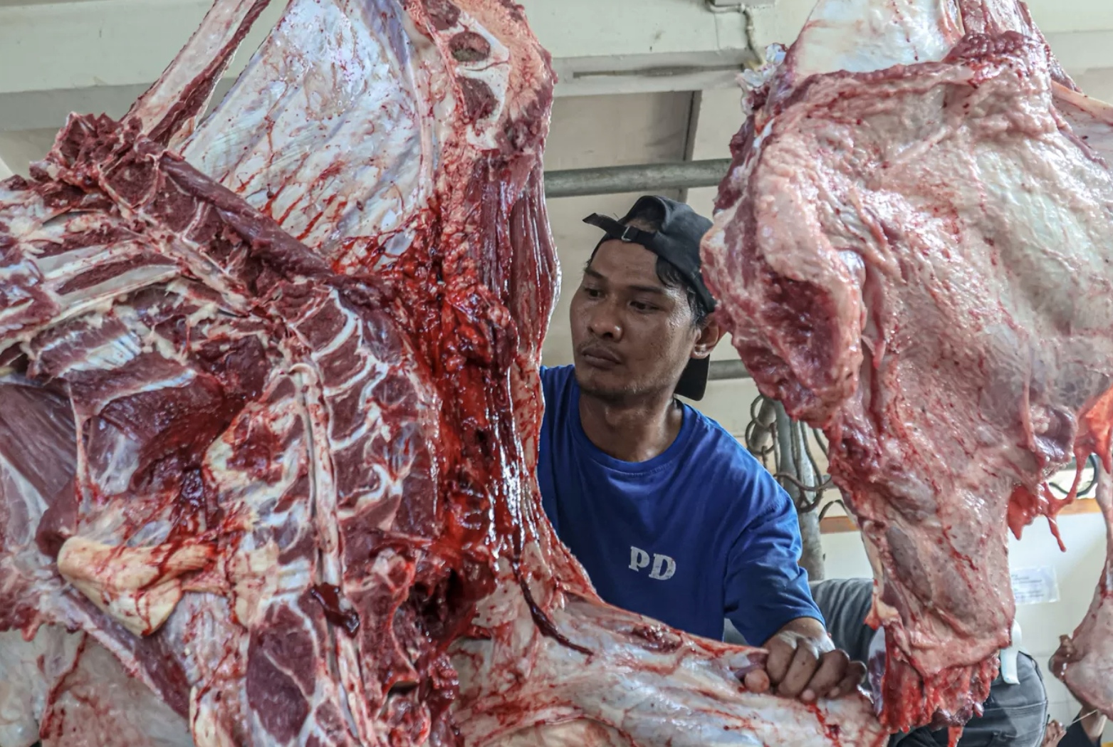 Ilustrasi daging kurban. (DOK JAWA POS)