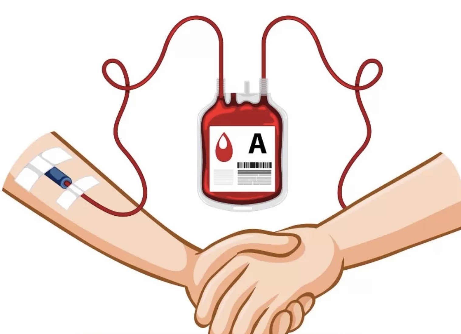 Ilustrasi donor darah. (Freepik)