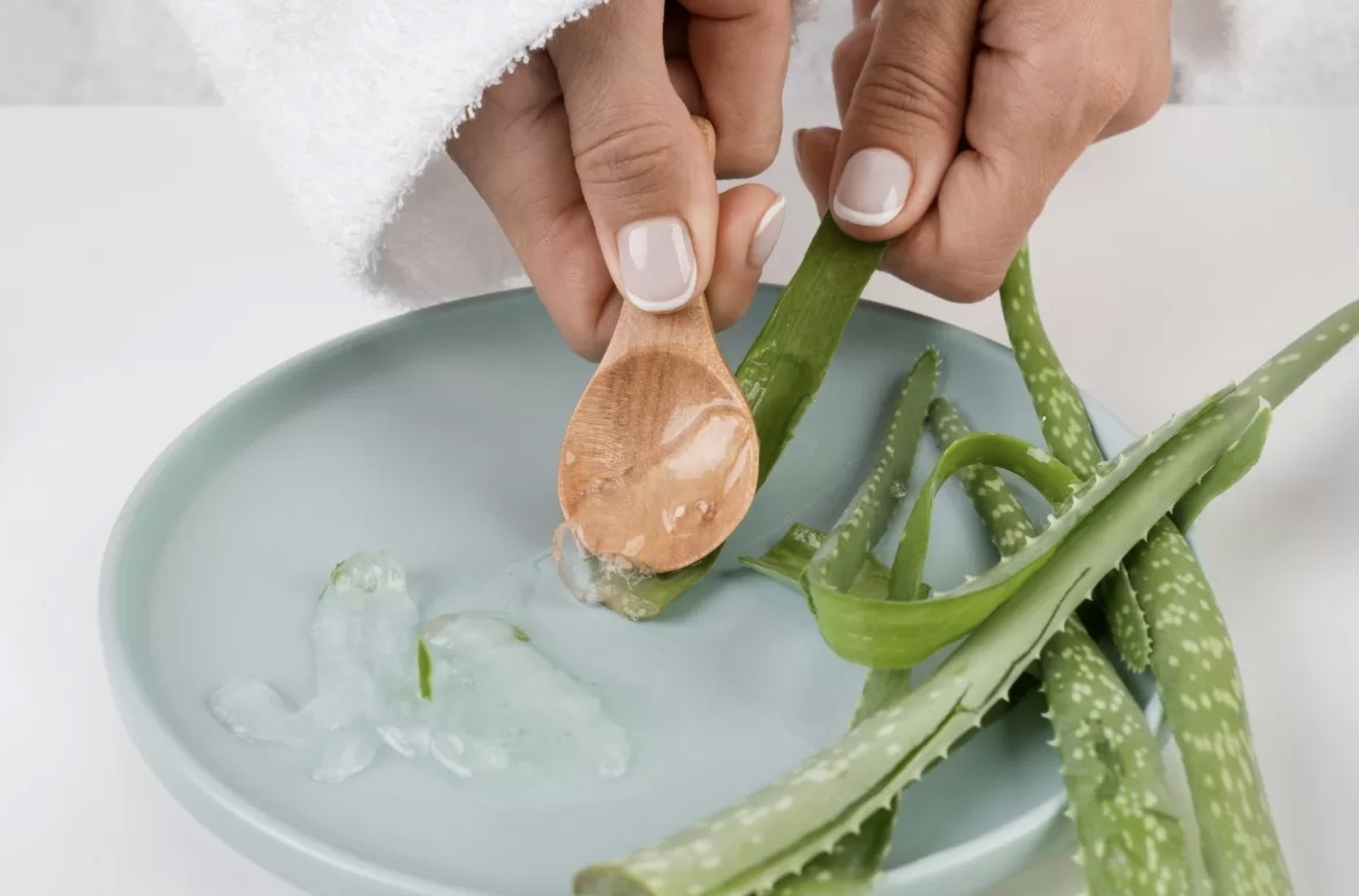Cara membuat masker lidah buaya itu mudah dan fleksibel dicampur bahan alami lain. (Freepik)