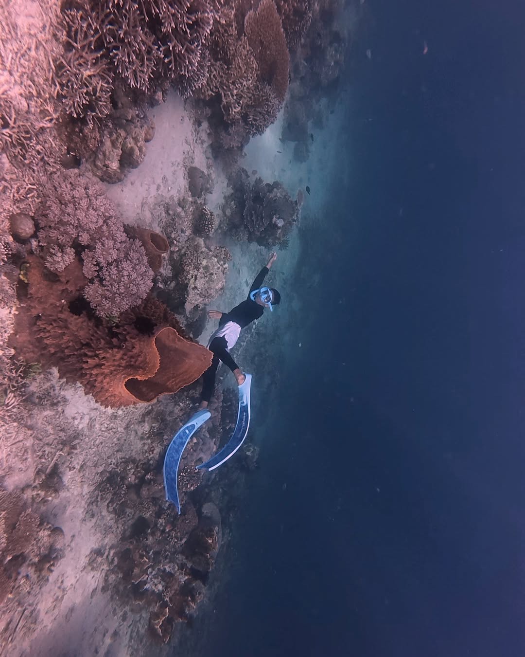 TERUS BERKEMBANG: Pokdarwis Sumping Nusa Kampung Pulau Derawan ingin semakin serius meningkatkan pengembangan wisata sambil tetap menjaga kelestarian lingkungan. (POKDARWIS)