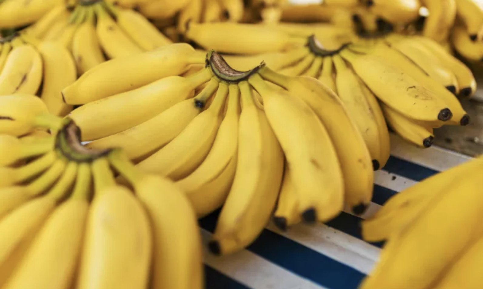 Ilustrasi: Buah pisang. (Pexels)