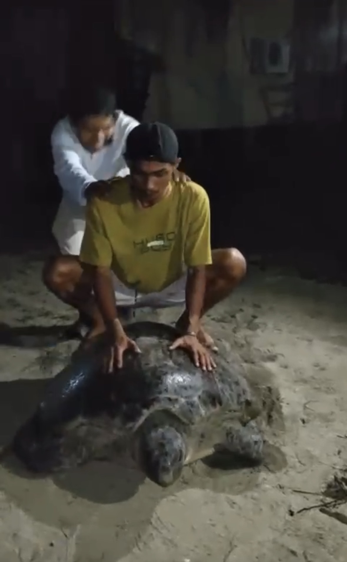 VIRAL: Aksi wisatawan di Pulau Derawan yang menaiki penyu saat sedang berjalan malam hari di pinggir pantai menuai kecaman masyarakat. (WARGA UNTUK BERAU POST)