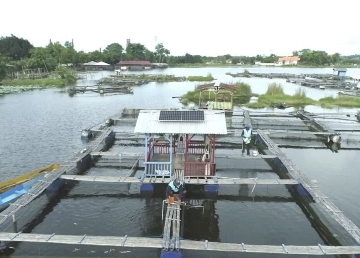 PLN IP memasang fasilitas pembangkit listrik tenaga surya (PLTS) di keramba milik nelayan di Danau Ranu, Desa Ranuklindungan, Kabupaten Pasuruan, Jawa Timur. (ANTARA)