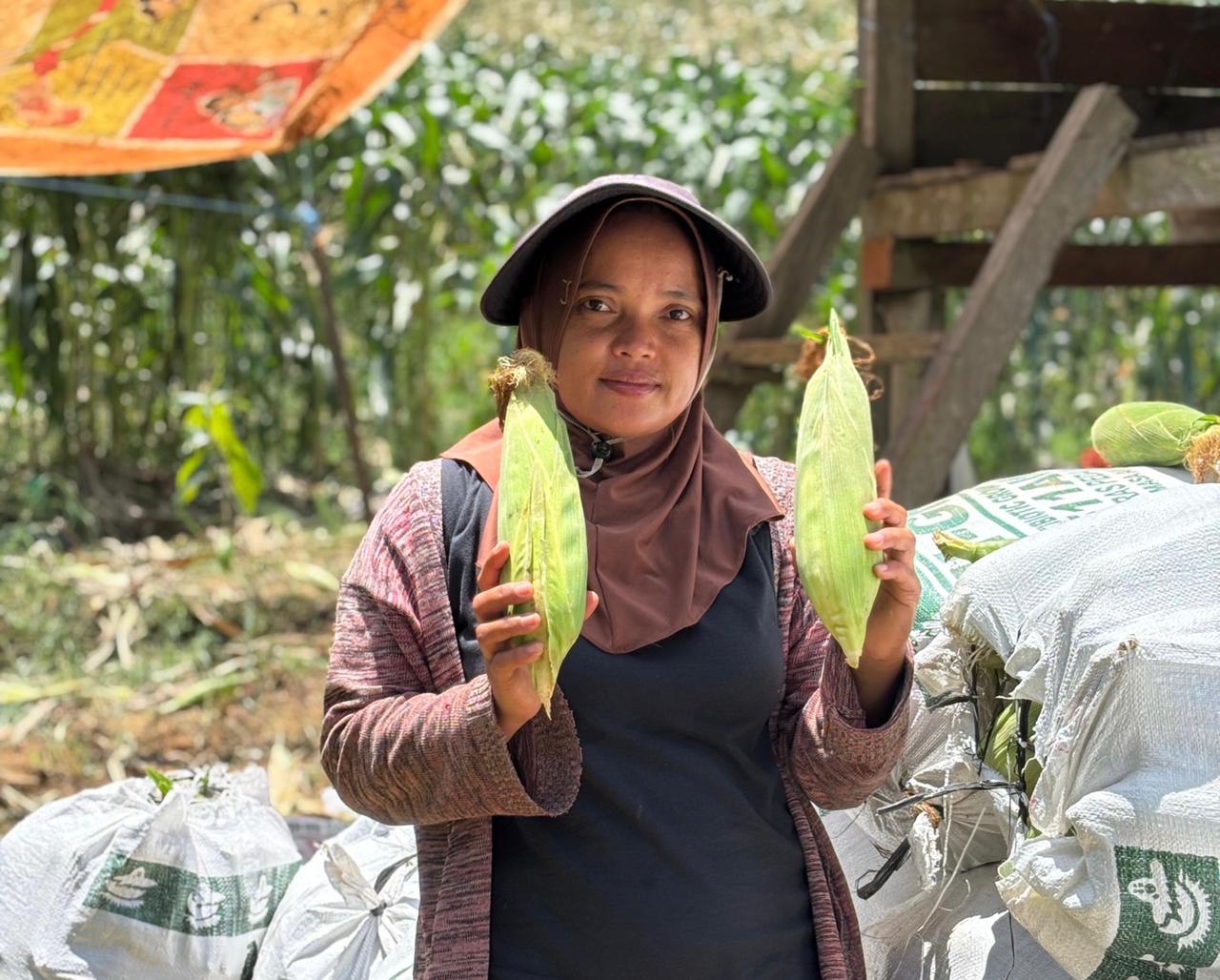 JADI PRODUKTIF: Sarini kini menjalani kehidupannya dengan lebih semangat. Selain menjadi seorang guru, dia turut mengembangkan Kakao serta pertanian Jagung. (SENO/BP)