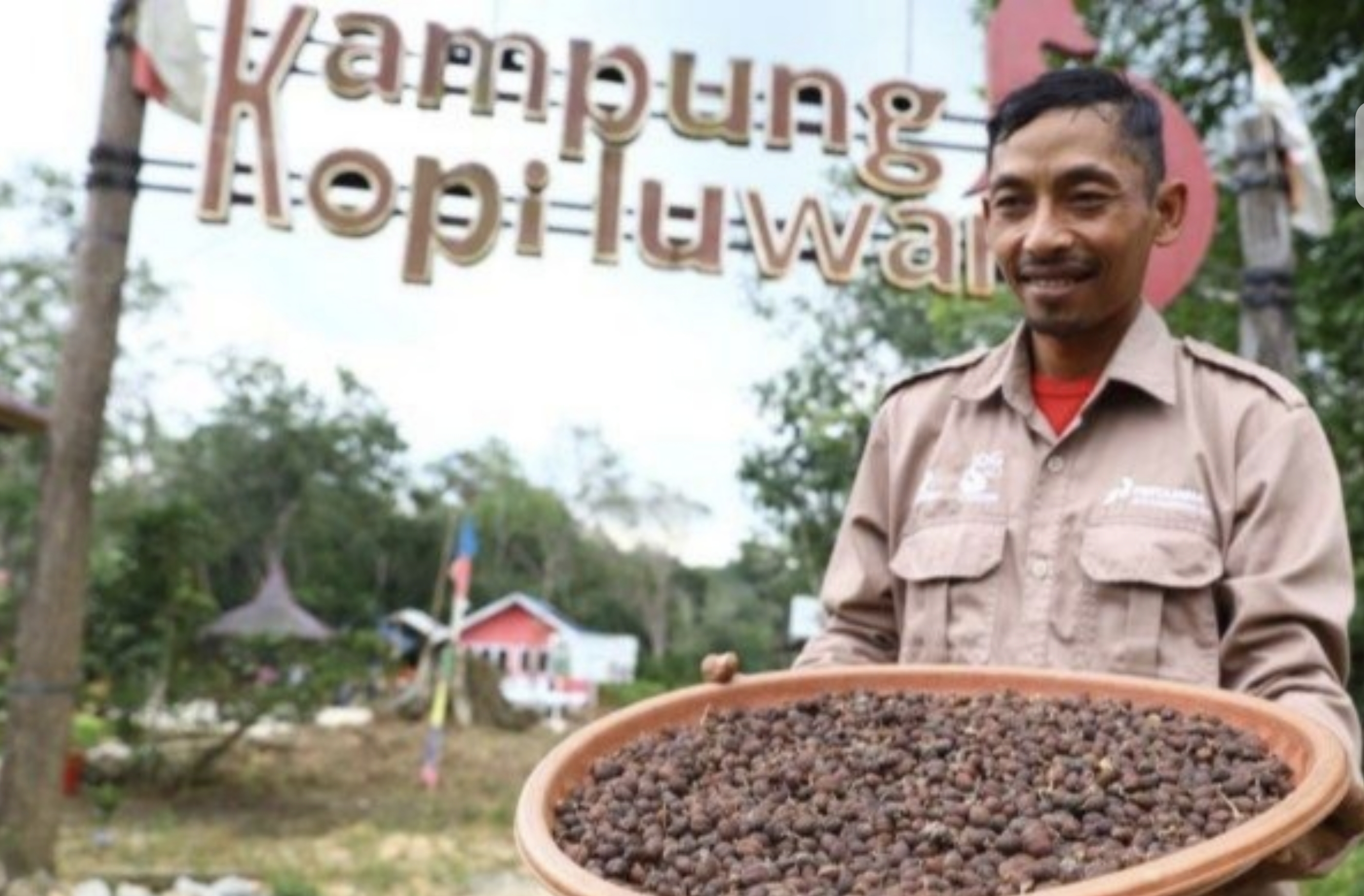 SUKSES: Kampung Kopi Luwak Desa Perangat Baru, Marangkayu.  (DISKOMINFO KUKAR UNTUK BERAU POST)