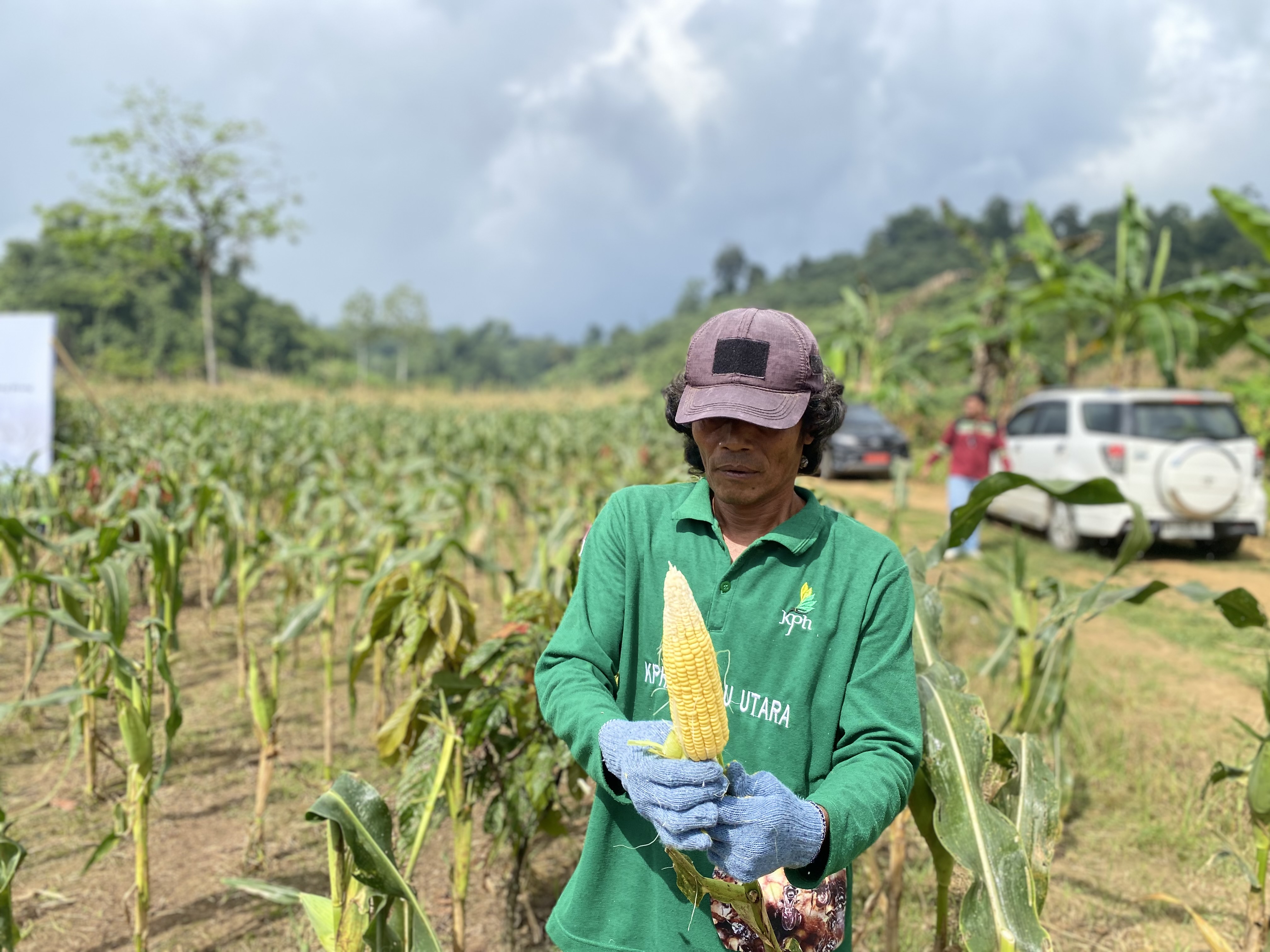 BUTUH PUPUK SUBSIDI: Petani jagung manis di Kampung Birang butuh pupuk subsidi untun wujudkan pertanian yang maju dan meningkatkan kesejahteraan masyarakat. (SENO/BP)