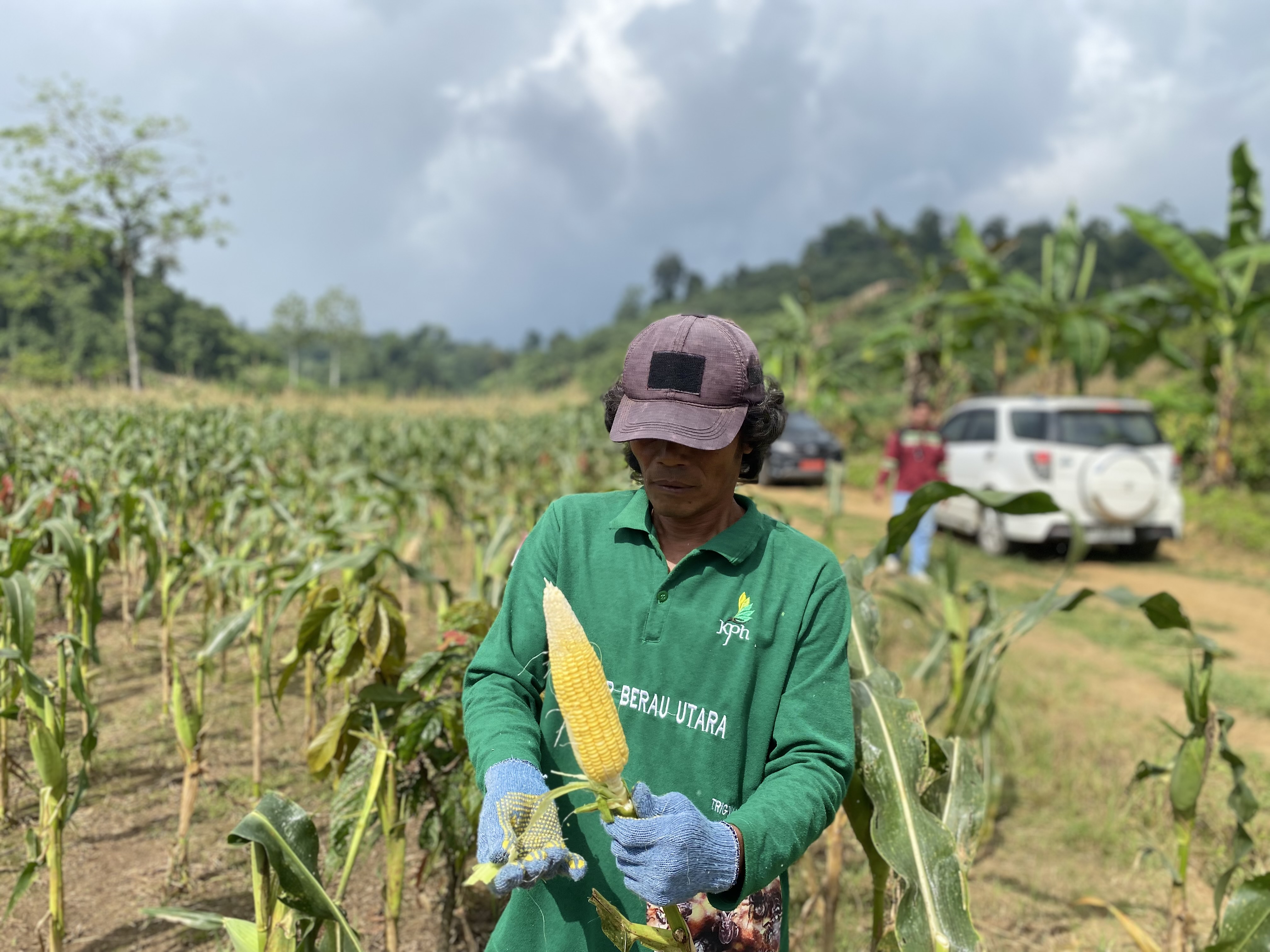 SYARAT KEMUDAHAN: DTPHP Berau mengimbau para petani membentuk kelompok untuk memudahkan mendapatkan pupuk bersubsidi, guna menunjang sektor pertanian. (SENO/BP)