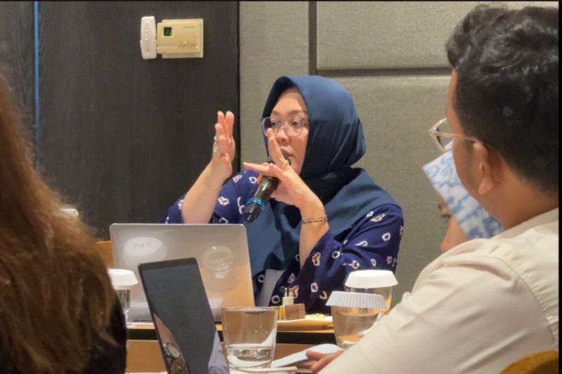 Sekretaris Direktorat Jenderal Pengawasan Ruang Digital Kemkomdigi Mediodecci Lustarini. (HO-KEMKOMDIGI/ANTARA)