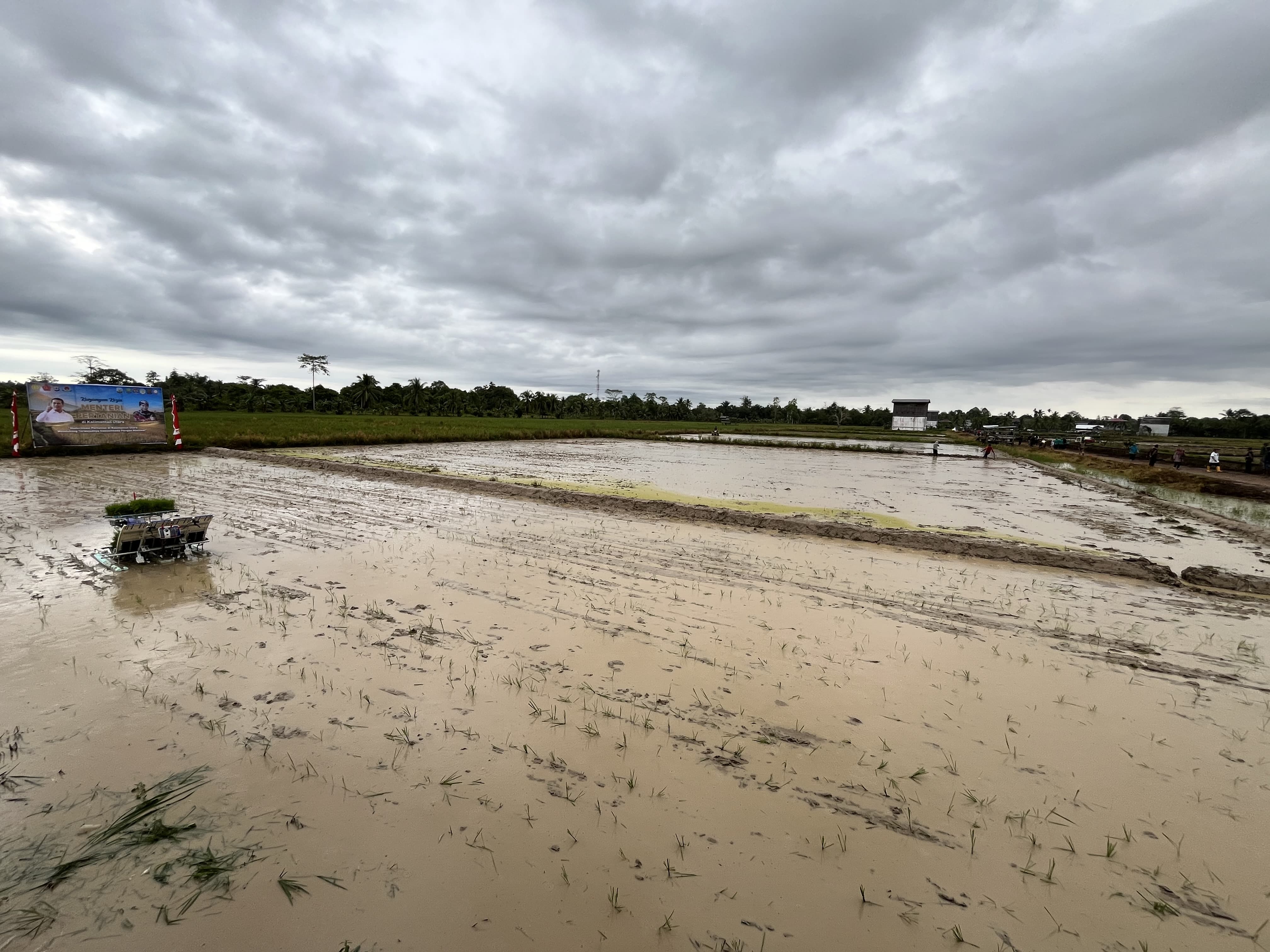 PROGRAM PRIORITAS: Pemerintah Kabupaten Bulungan mendukung ketahanan pangan nasional dengan melaksanakan Program Komando Strategi Pembangunan Pertanian. (FAISAL/HRK)
