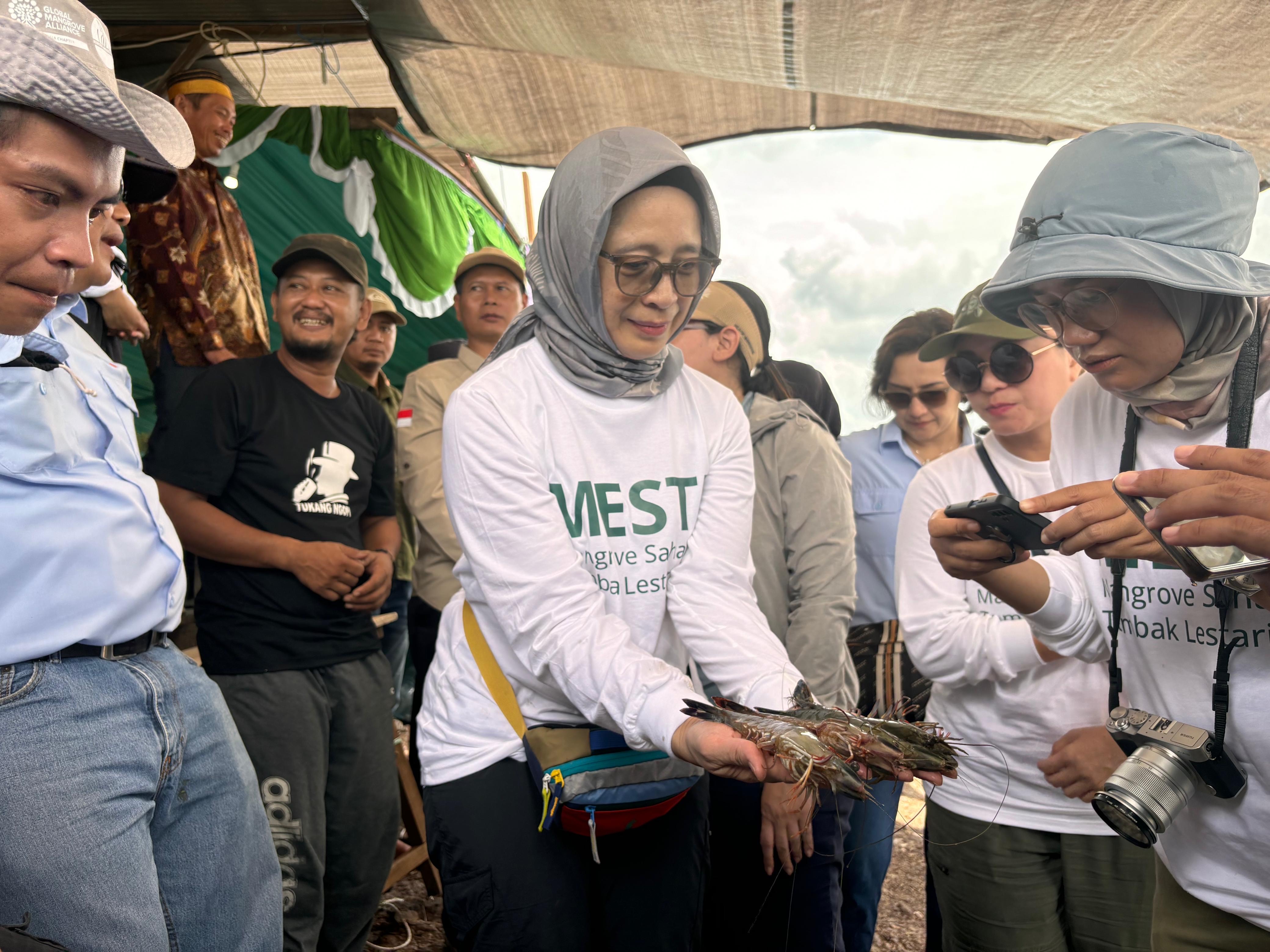 ILUSTRASI: Kabupaten Berau sudah mulai mengembangkan tambak udang ramah lingkungan dengan metode Secure yang bekerja sama dengan NGO.  (IZZA/BP)