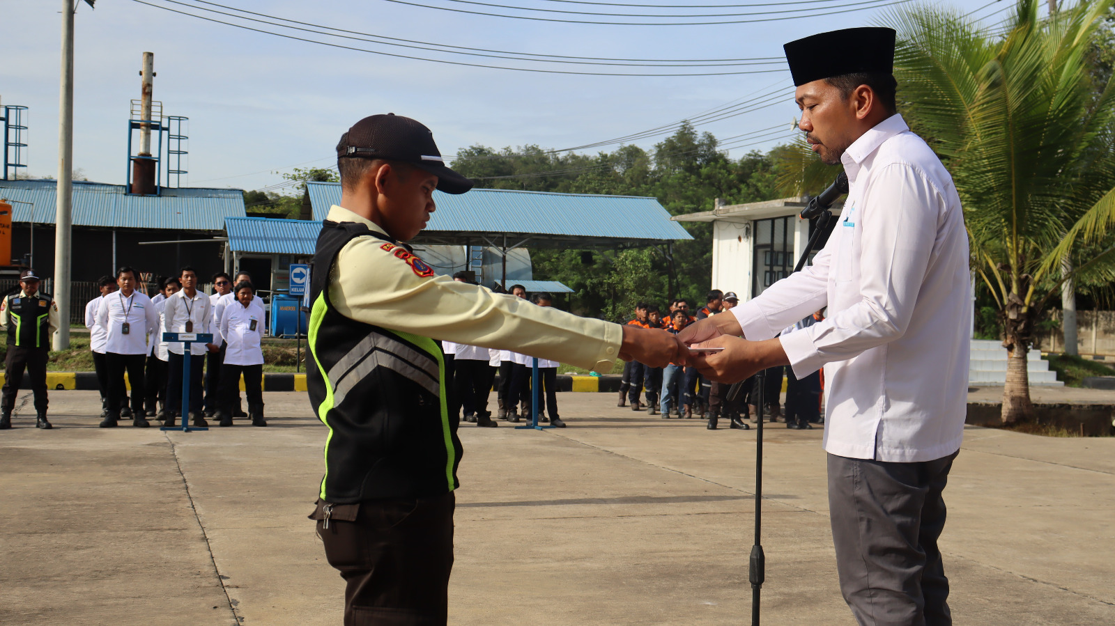 (PLN IP UBP BERAU)