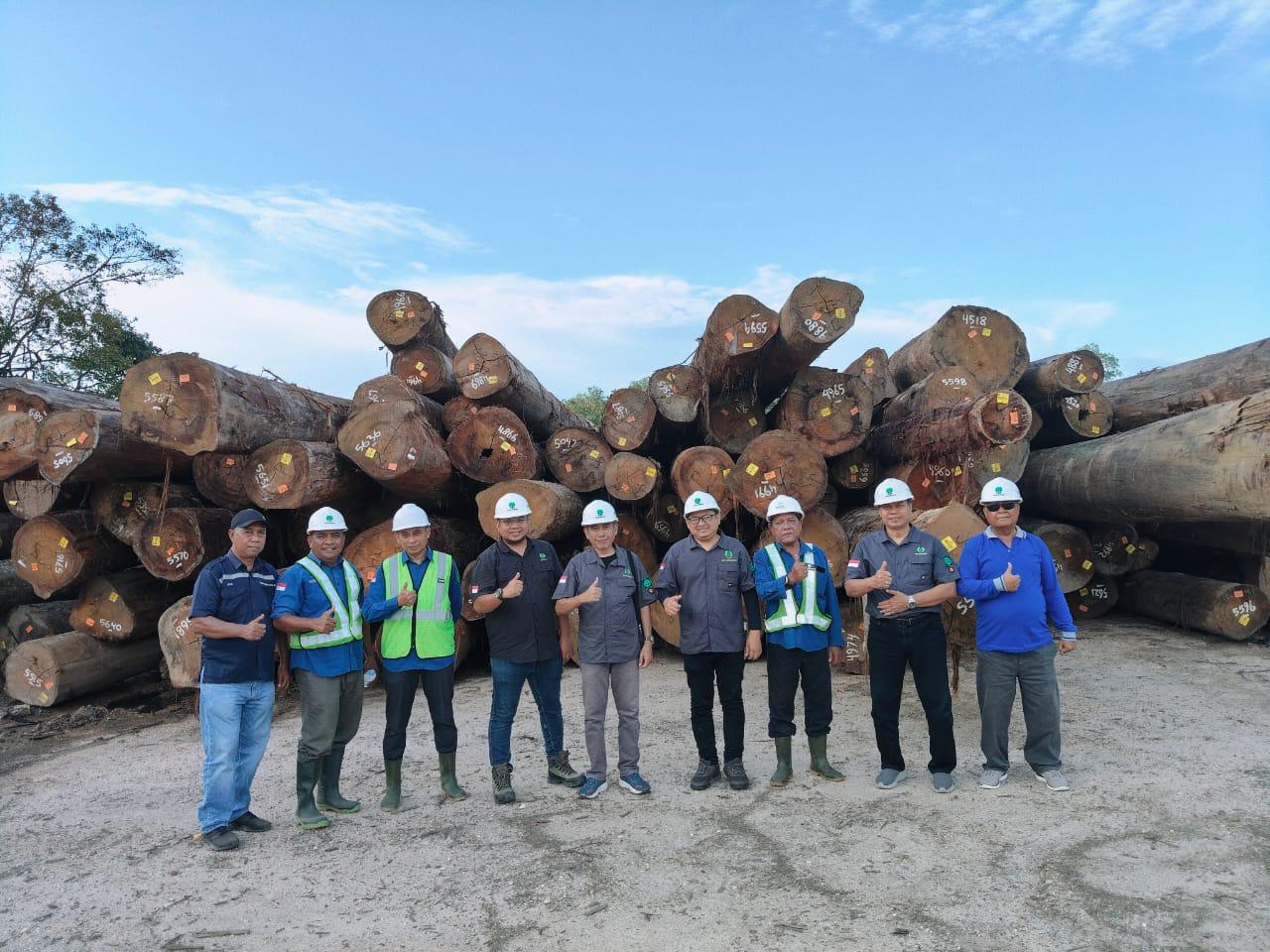 KOMITMEN: PT Hutan Sanggam Berau berkomitmen untuk terus berinovasi dengan menapaki usaha di tanaman pangan hortikultura.