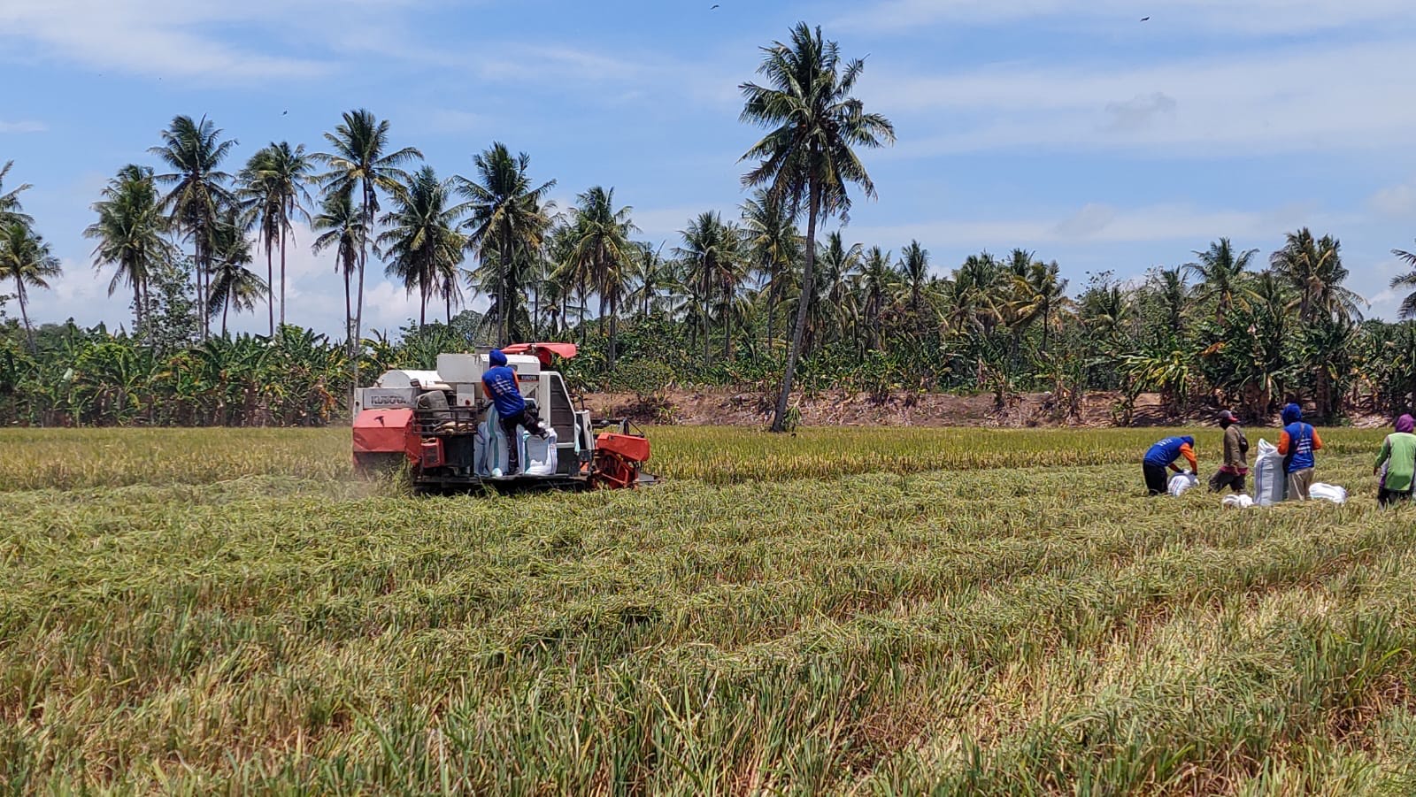 DUKUNG PERTANIAN: Puluhan bantuan pertanian untuk kelompok tani di Berau telah tersalurkan tahun ini. (SENO/BP)