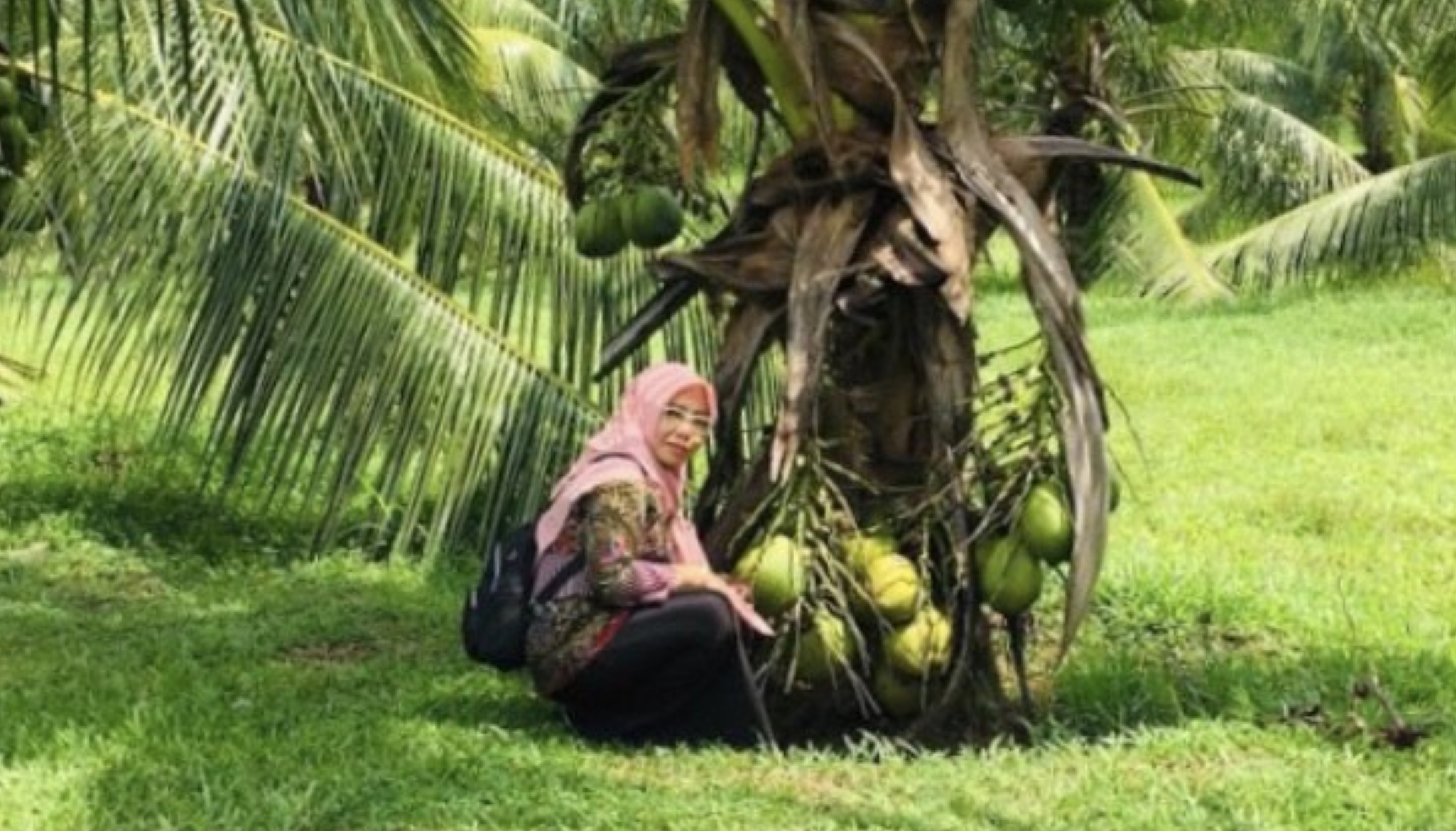 POTENSI TINGGI: Disbun Berau siap kembangkan potensi kelapa dalam sesuai arahan Bupati Berau, Sri Juniarsih dalam rapat evaluasi beberapa waktu lalu. (BERAU POST)