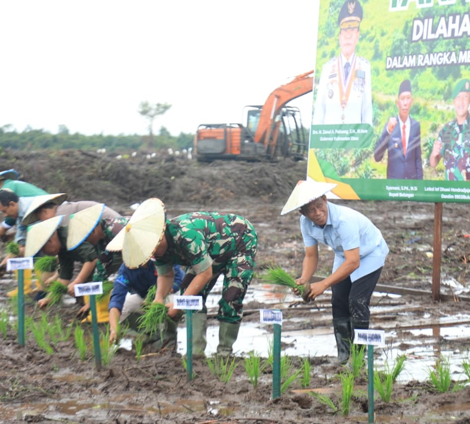 TANAM PADI: Bupati Bulungan Syarwani (paling kanan) lakukan tanam padi perdana di Lahan Cetak Sawah Rakyat seluas 98 hektare, di Desa Salimbatu. (PEMKAB BULUNGAN UNTUK HRK)