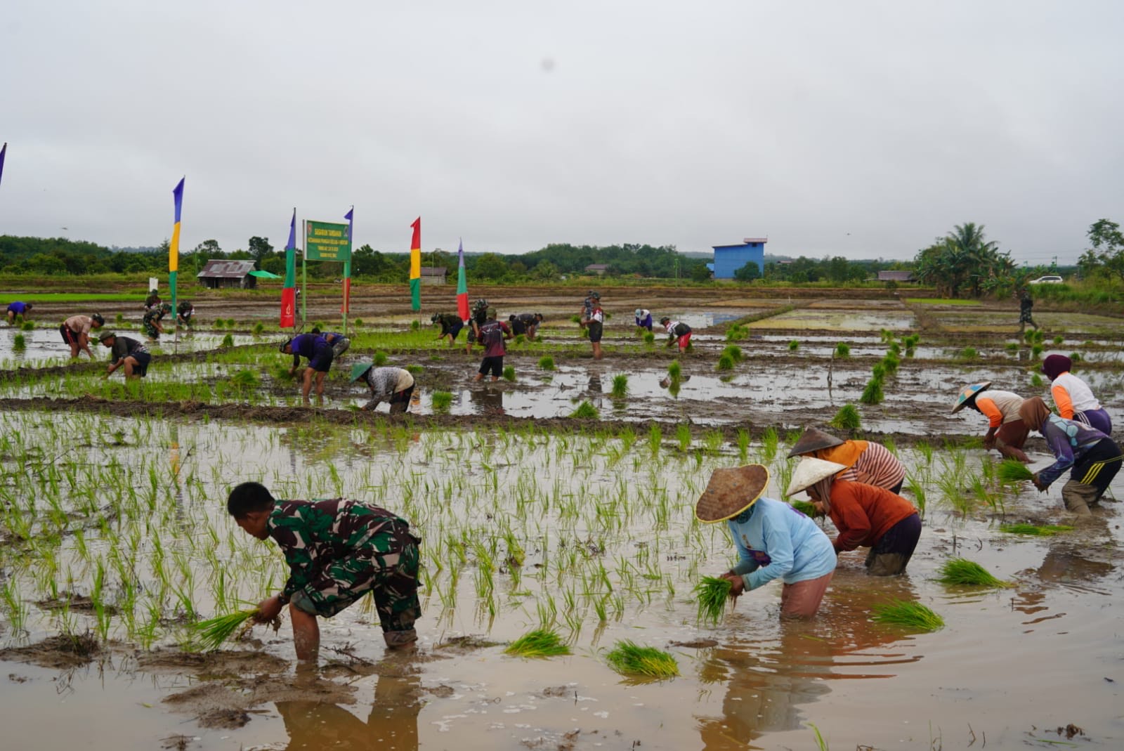 OPTIMALISASI LAHAN: Wakil Ketua II DPRD Berau mendorong pemanfaatan lahan tidur yang bisa menjadi lahan pertanian untuk mendukung ketahanan pangan di Berau. (SENO/BP)