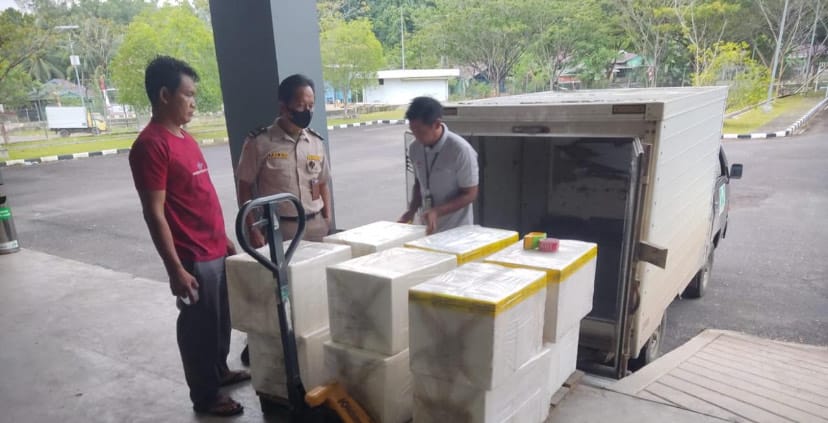SEMAKIN BANYAK PILIHAN: Saat ini, ada tiga maskapai selain melayani penerbangan untuk penumpang juga membuka ruang pengiriman komoditas ekspor Berau, sehingga pasar produk Berau semakin luas.(SENO/BP)