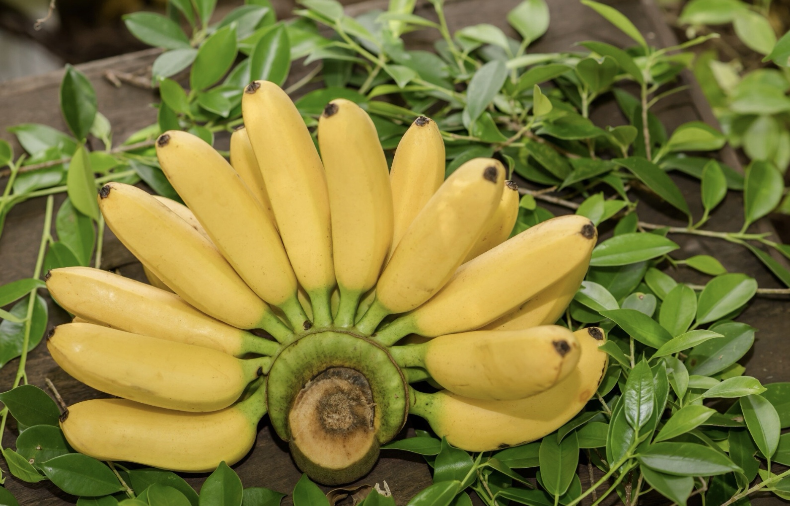Buah pisang memiliki banyak manfaat. (Freepik)