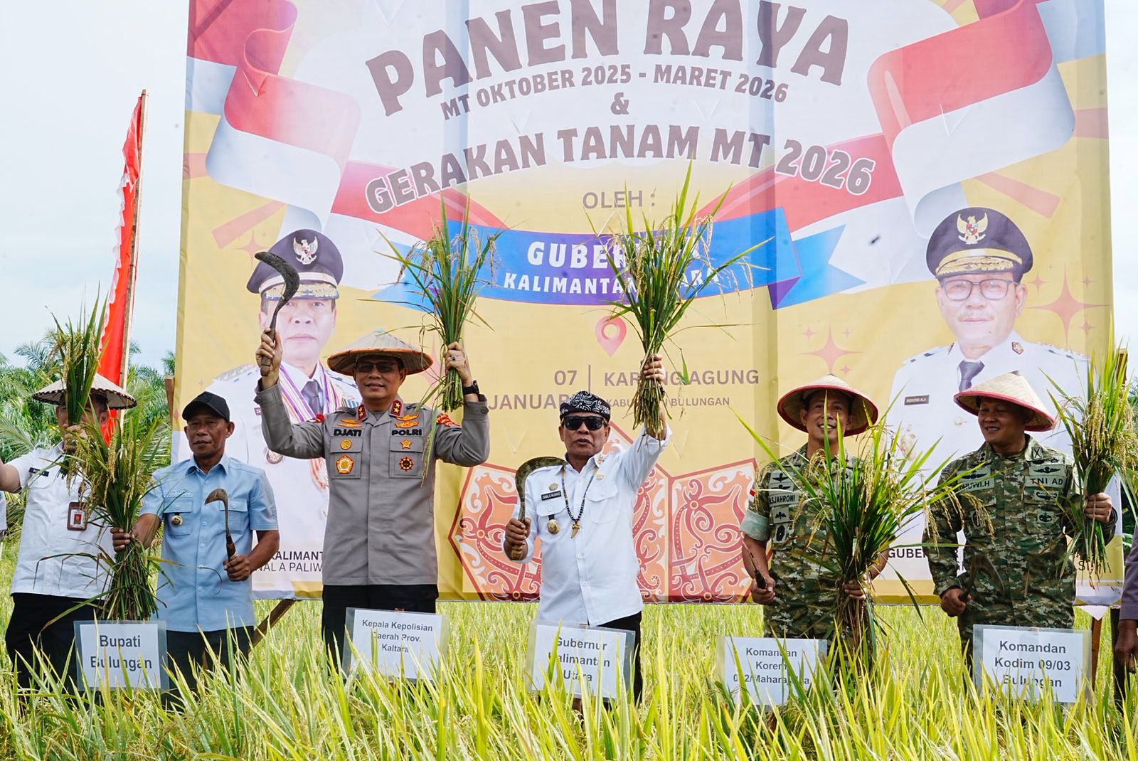 SWASEMBADA PANGAN: Gubernur Kaltara Zainal A. Paliwang (tengah) melakukan panen raya di Desa Karang Agung, Kecamatan Tanjung Palas Utara, Kabupaten Bulungan, Rabu (7/1) lalu. (DKISP KALTARA)