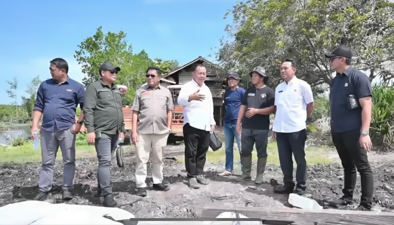 PERTANIAN: Komisi II DPRD Kaltara melihat secara langsung kondisi fisik lahan pelaksanaan program percetakan sawah di Tarakan. (DPRD KALTARA)
