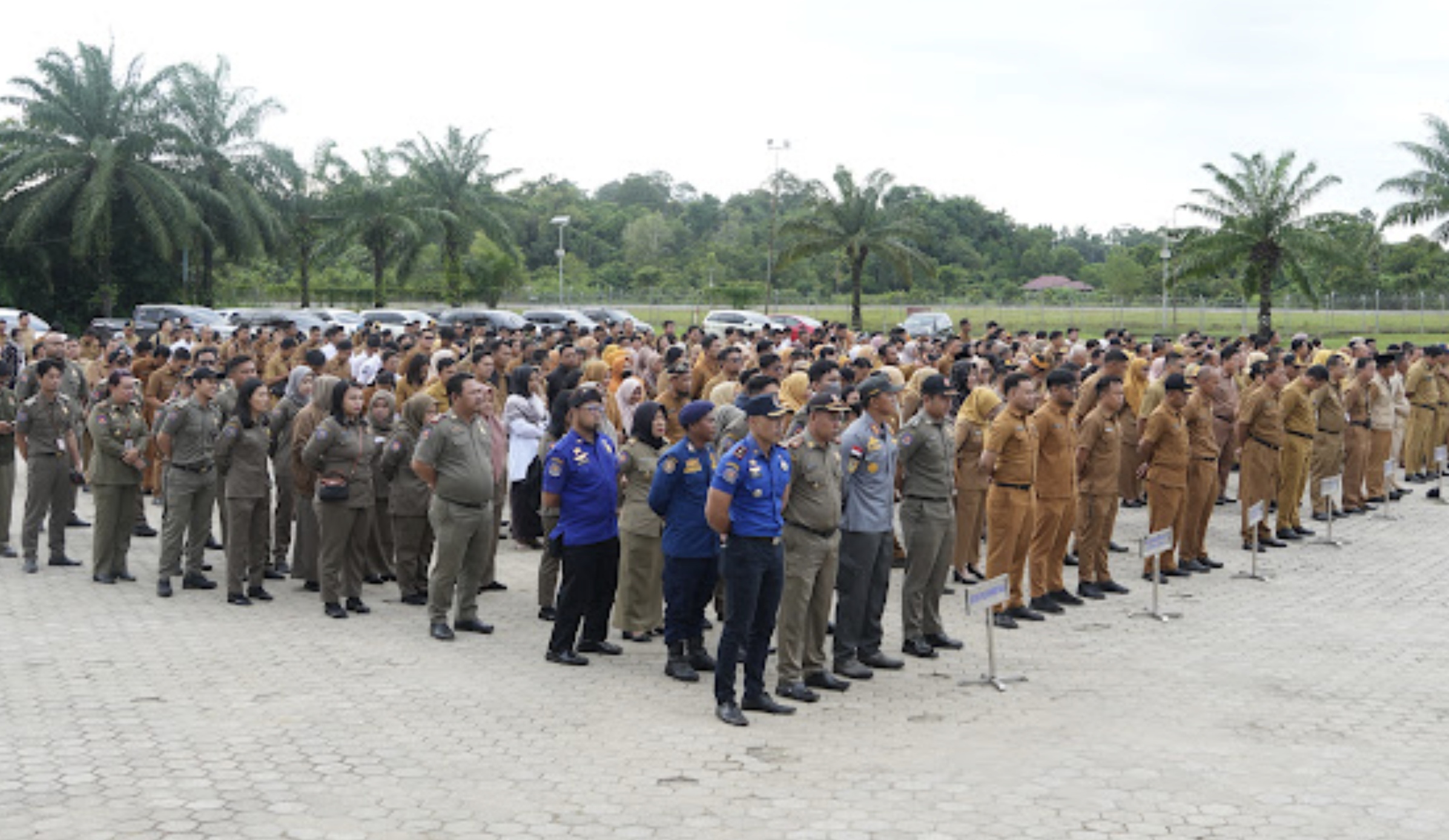 KEBUTUHAN ASN: Pemprov Kaltara saat ini masih membutuhkan sekitar 3 ribu pegawai.  (HRK)