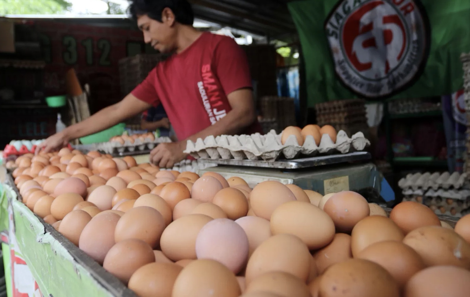Pedagang merapihkan telur ayam di kawasan Pejaten, Jakarta Selatan, Rabu (30/11/2022). (Salman Toyibi/Jawa Pos).