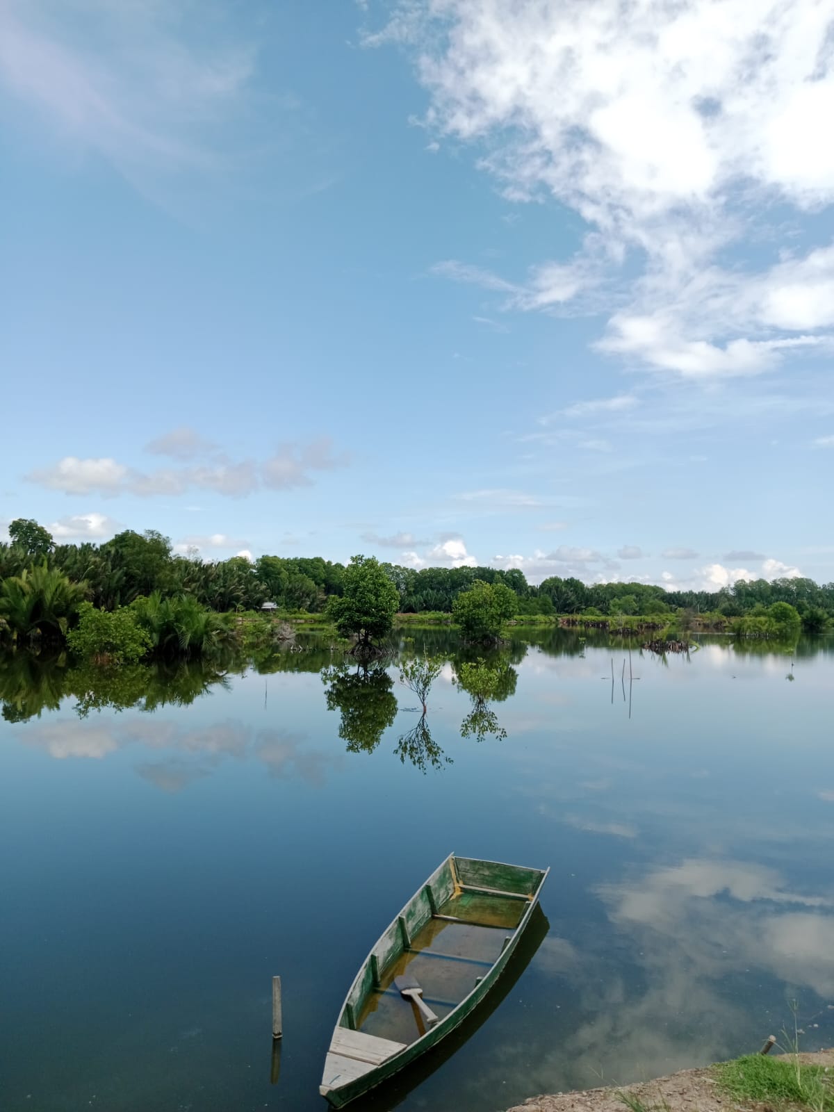 EKONOMI KARBON: Kementerian Koordinator Bidang Pangan mulai menginisiasi kajian pengembangan potensi ekonomi karbon dari kawasan mangrove di Kaltara. (HRK)