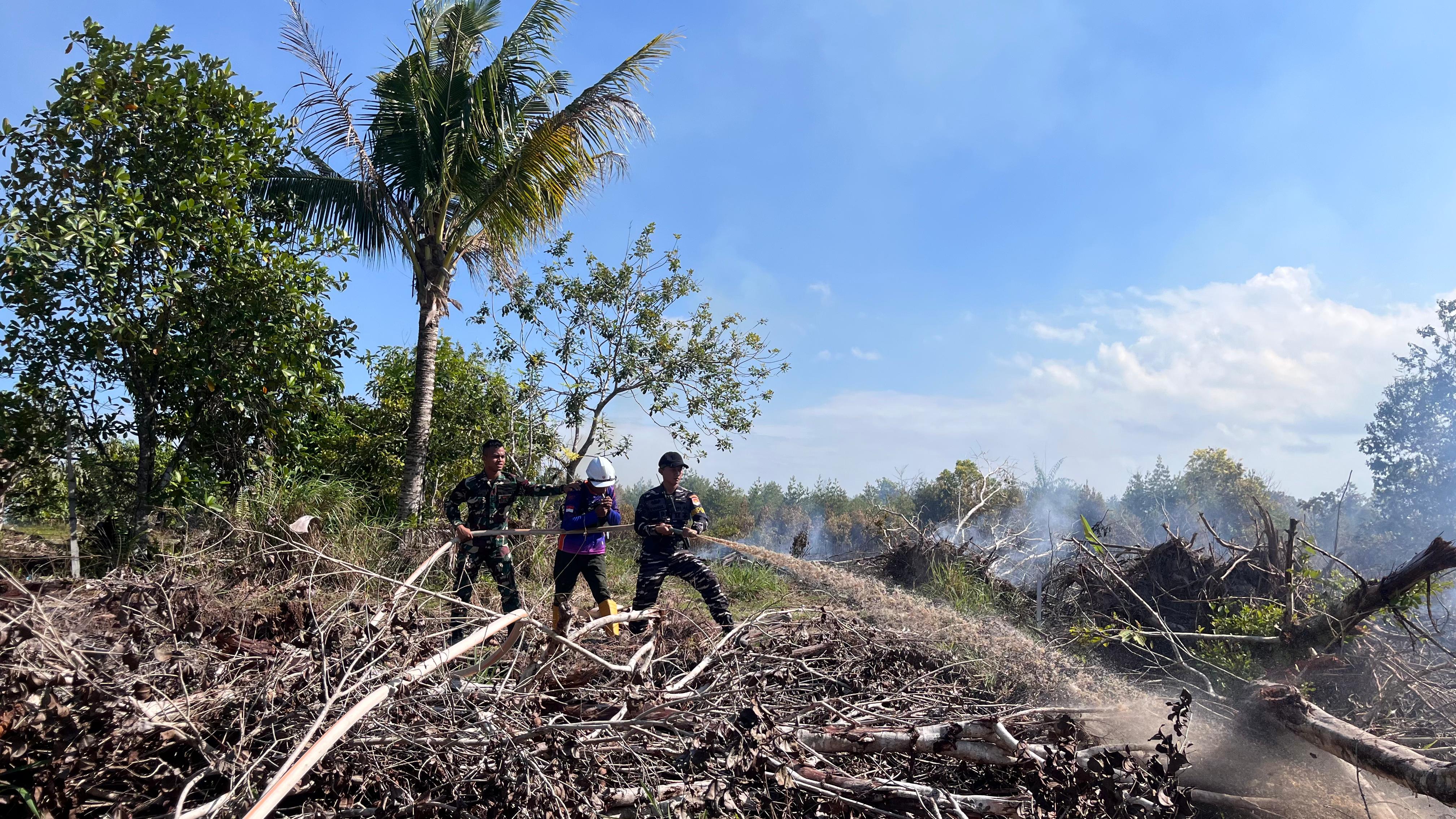 PADAMKAN API: Tim gabungan padamkan api saat kebakaran lahan di Binalatung, Kelurahan Pantai Amal, Tarakan Timur, Selasa (24/3). (SEPTIAN ASMADI/HRK)