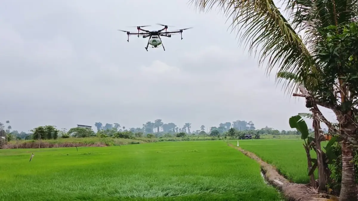 SEMAKIN MAJU: Pertanian Berau kini memanfaatkan kemudahan dengan penggunaan drone sprayer untuk melakukan pengendalian hama dan penyebaran pupuk hayati. (SENO/BP)